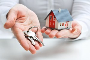 Estate Property Rentals